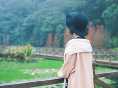 -广州市石门国家森林公园