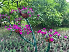 -那些年记忆烧烤