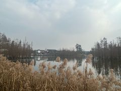 -白鹭湾湿地公园
