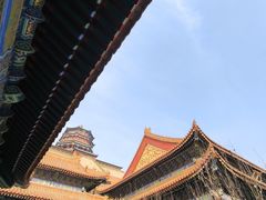 -颐和园