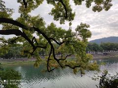 -蒋氏故居