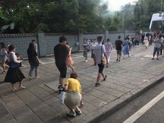 -大龙山(地铁站)