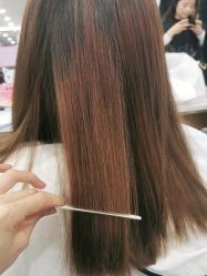 -镁连社·美联社