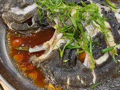 清蒸多宝鱼-盒马鲜生(皇庭广场店)