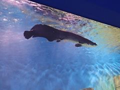 -石家庄海洋公园
