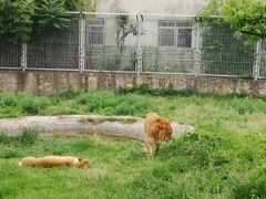 -西安秦岭野生动物园