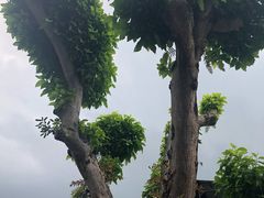 -徐悲鸿故居
