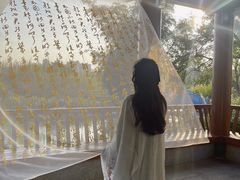-广西壮族自治区药用植物园