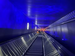 -白鹤梁水下博物馆