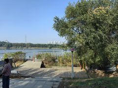 -长白岛森林公园