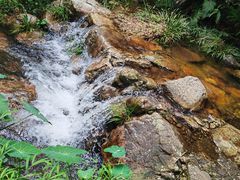 -雁南飞茶田景区