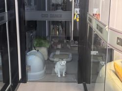 -CICI街舞专业培训