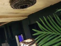 -土著渔匠·养生蝴蝶鱼(香樟路店)