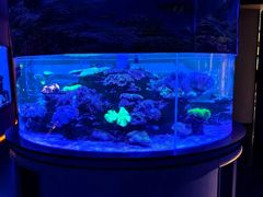 -上和臻品中国菜(花园街店)