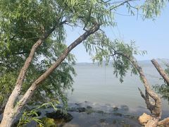 -捞渔河湿地公园