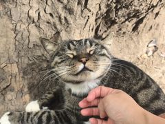 -西安大兴善寺