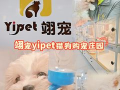 -翊宠yipet猫狗购宠庄园犬舍•猫舍