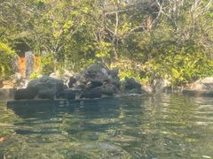 -昆明柏联SPA温泉