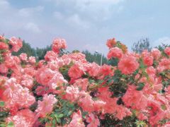 -长春公园(普阳街道)