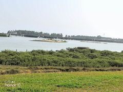 -北海金海湾红树林生态旅游区