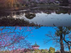 -无锡梅园公园