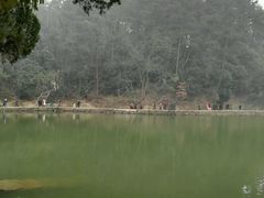 -韶山毛泽东同志故居