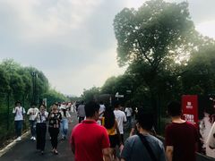 -上海国际音乐村