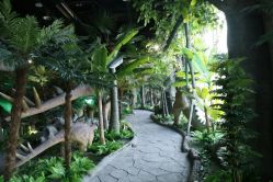 -恐龙探索乐园(磁器口店)