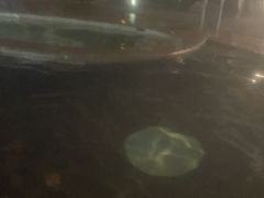 -碧水湾温泉