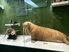 -国家自然博物馆