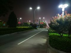 -京秀缘蒸汽海鲜农家菜大馅蒸饺