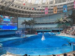 -海合安成都极地海洋公园
