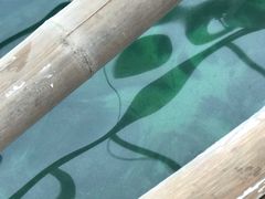 -长滩岛登岛码头