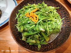 清炒水性杨花-老滇山寨•云南特色菜•地方菜•民族风情歌舞表演(金碧店)