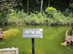-燊海井