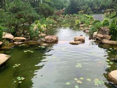 -桃花涧