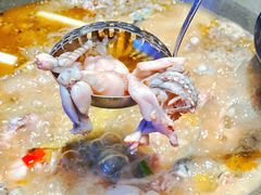 -石锅苗苗鱼(武汉首店)