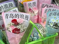 -燕儿岛山公园