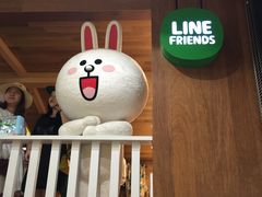 -line friends(明洞旗舰店)