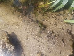 -白水寺森林公园