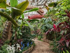 -沈阳植物园