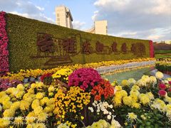 -上海大学(宝山校区)
