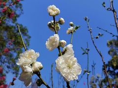 -桃花涧