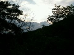 -御池园(顾村公园店)