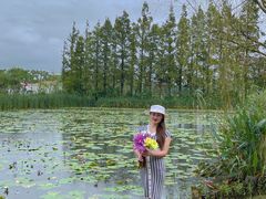 -上海长兴岛郊野公园