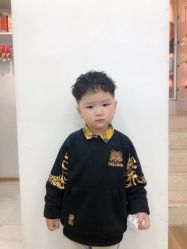 -YESIDO椰岛造型