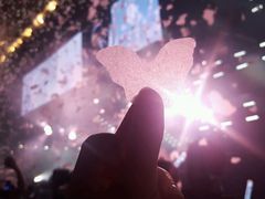 -南京奥林匹克体育中心-体育馆