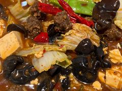 -新疆兵团食府清真(马连道店)