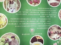 -茶油香闽南菜·花园餐厅(前埔店)