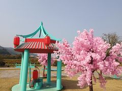 -径山花海